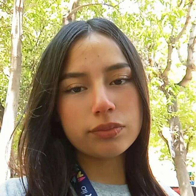 Babysitter in Concepción: Polet