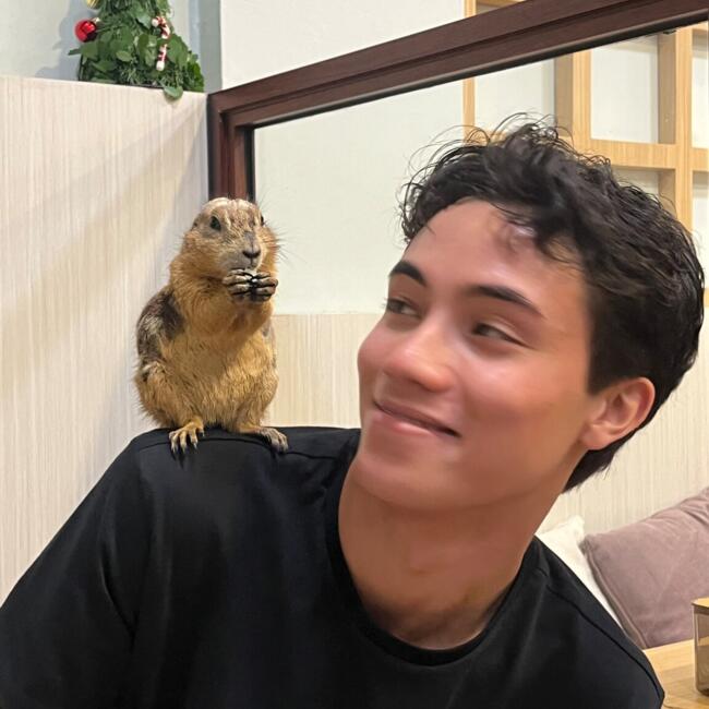 Oppas in Rotterdam: Dylan