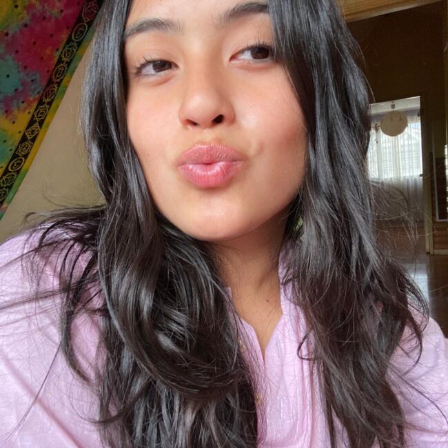 Babysitter in Port Montt: Renata