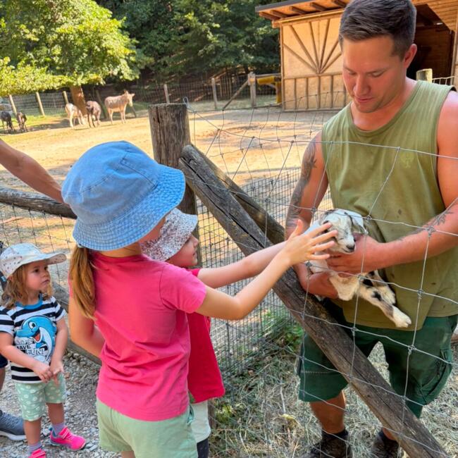 Babysitter Job in Göllersdorf: Alexandra