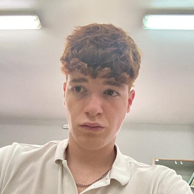 Babysitter in Mairena del Aljarafe: Manuel