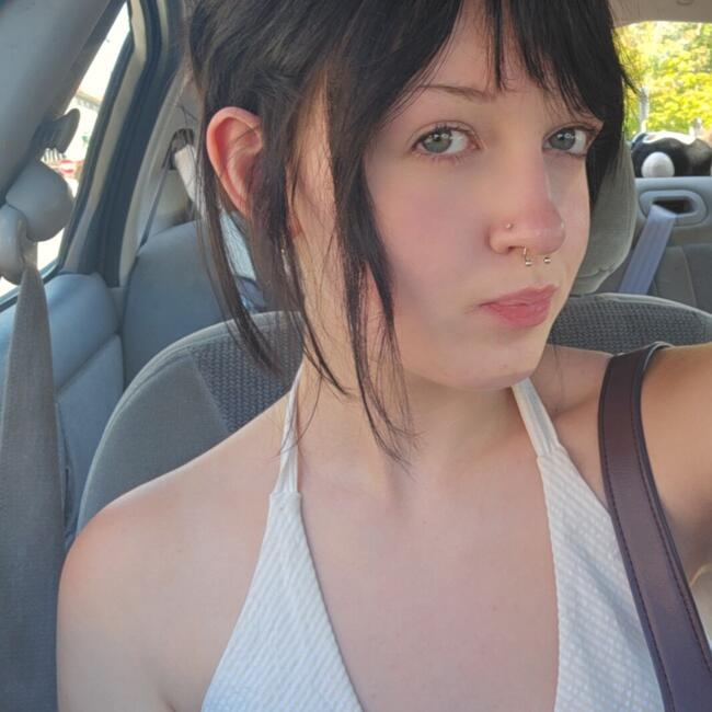 Babysitter in Arlington (Washington): Dresden
