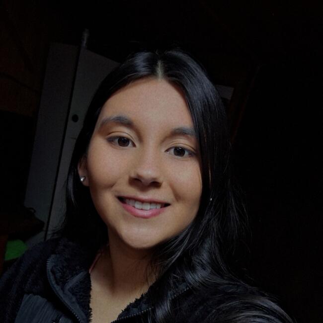 Babysitter in Chillán: Javiera
