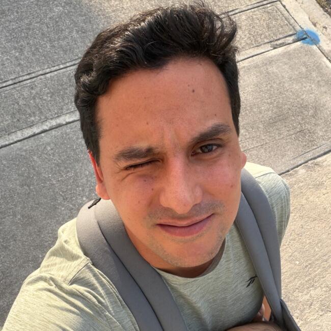 Babysitting job in Monterrey: Santiago