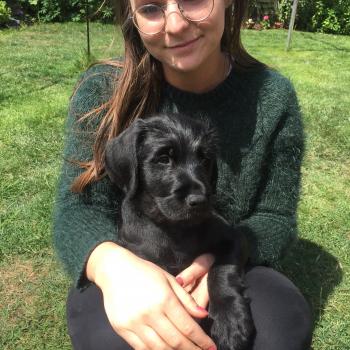 Babysitter Wallington (Greater London): Sophie