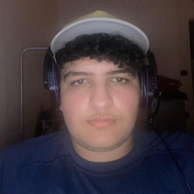 Babysitter in Villeurbanne: Karim