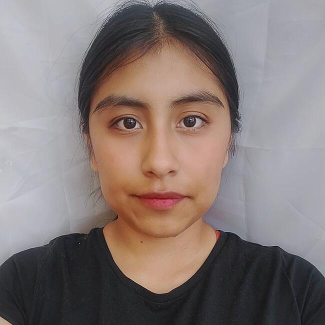 Babysitter in Mexico City: Alejandra Yenifer