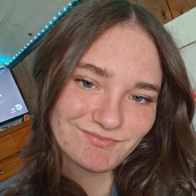 Babysitter in Kendallville: Sareeva