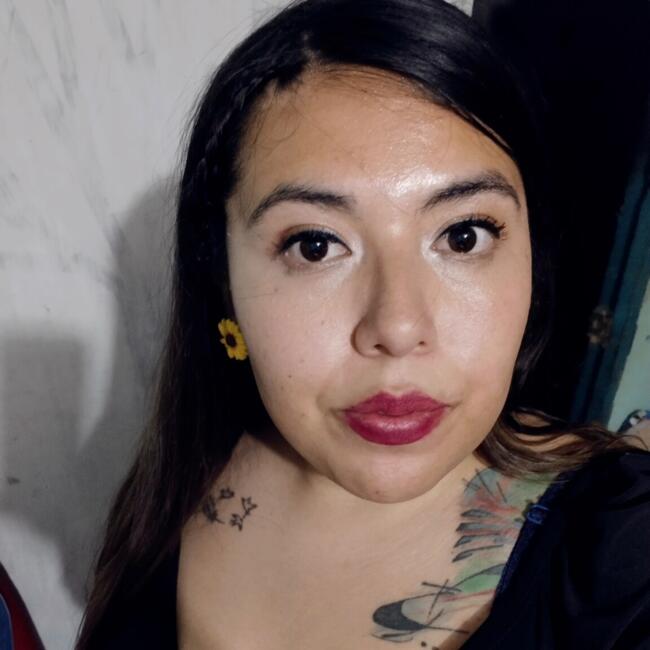 Babysitter in Santiago: Karen milla