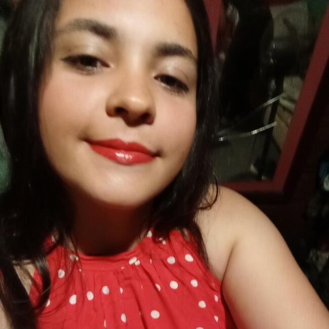 Babysitter in Posadas: Antonella