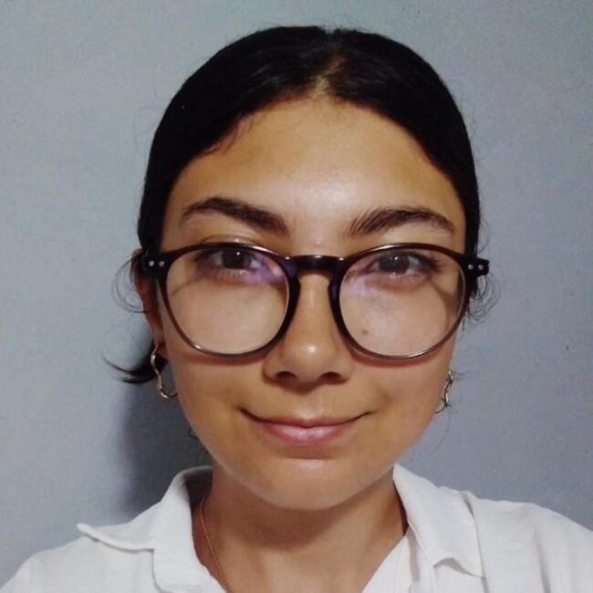 Niñera en José María Ezeiza: Alison Silva