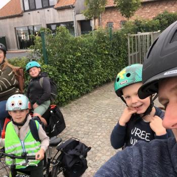Babysit job in Deinze: babysit jobs Anthony