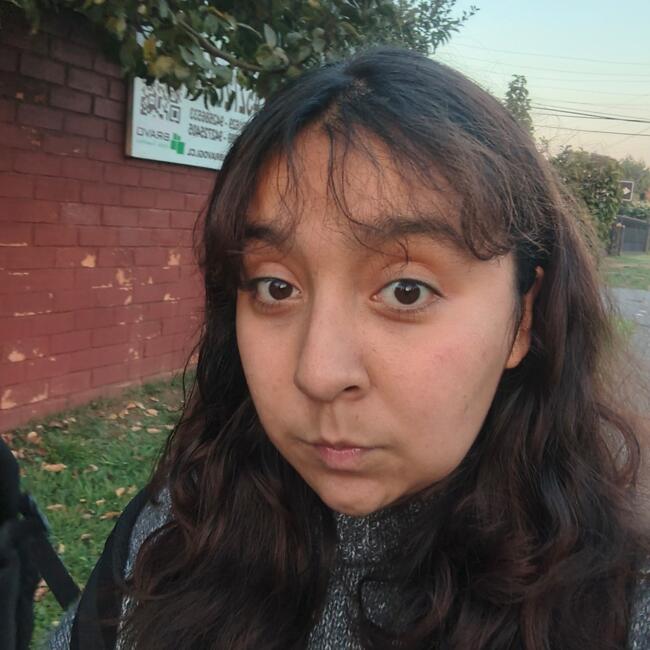Babysitter in Temuco: Oriana