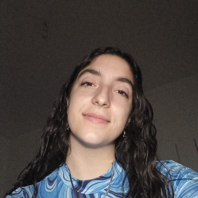 Babysitter em Bragança: Diana