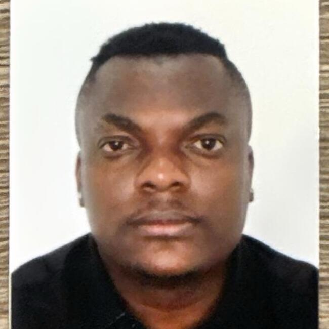 Babysitting job in Cape Town: Elele