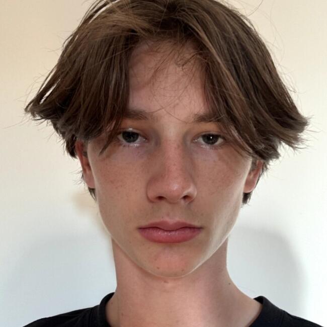 Babysitter in Chaville: Evan