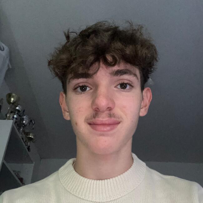 Babysitter in Colmar: Loïc