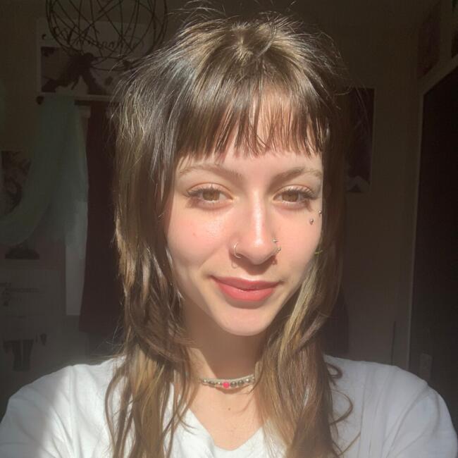 Babysitter in Pocé-sur-Cisse: Louise