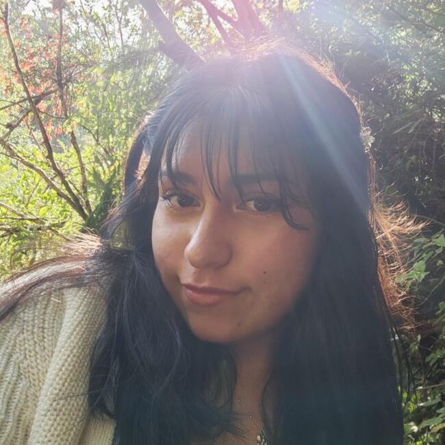 Niñera en Puerto Montt: Mitsy
