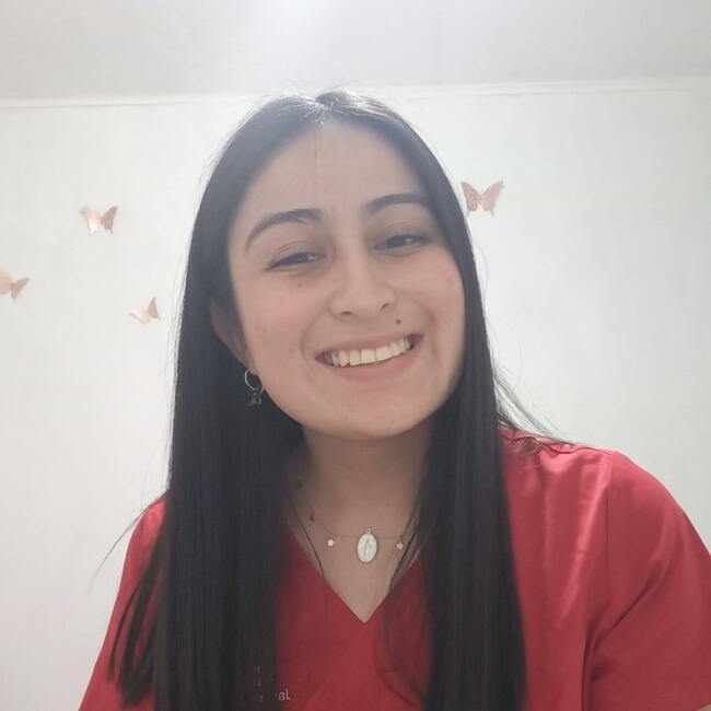 Babysitter in Chillán: Javiera Santander