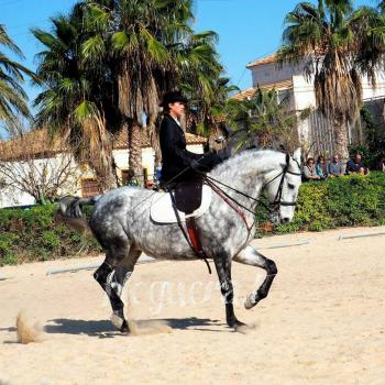 Babysitting job in Albacete: babysitting job Blanca