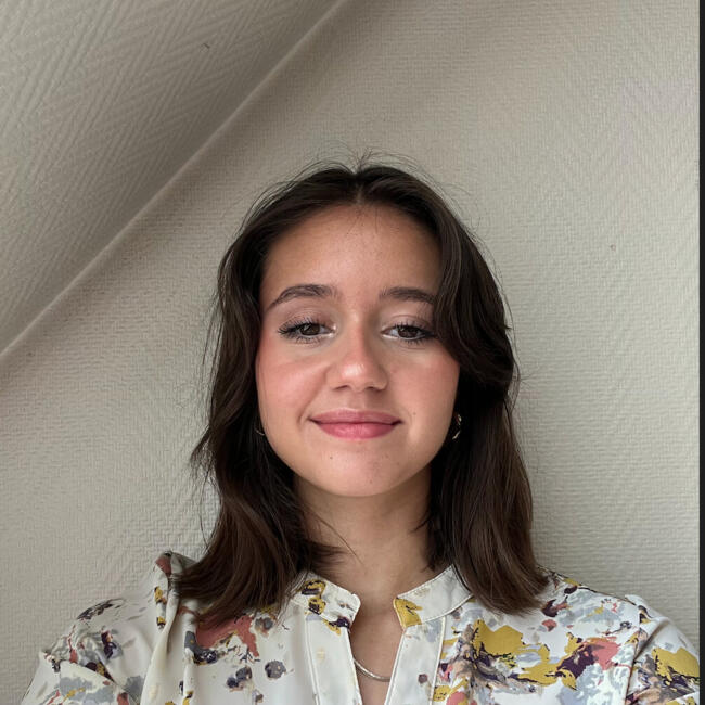 位於巴黎的臨時保母: Lou