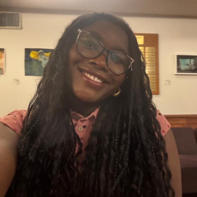 Babysitter in The Bronx: Ayebaifiemi