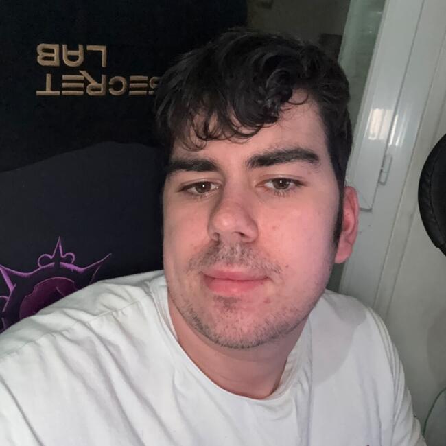 Babysitter in Colombes: Raphael