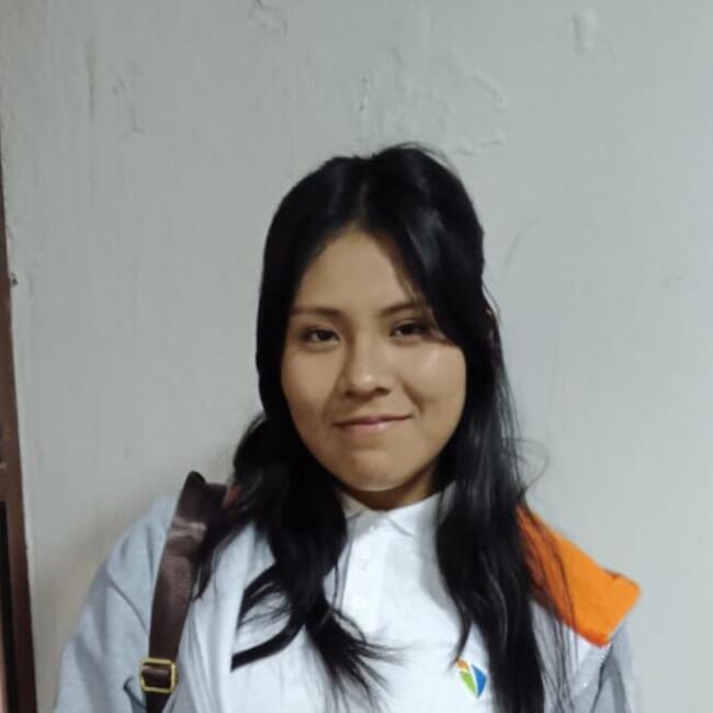 Niñera en Arequipa: Priscila