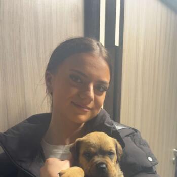 Babysitter in Achères: Melinda