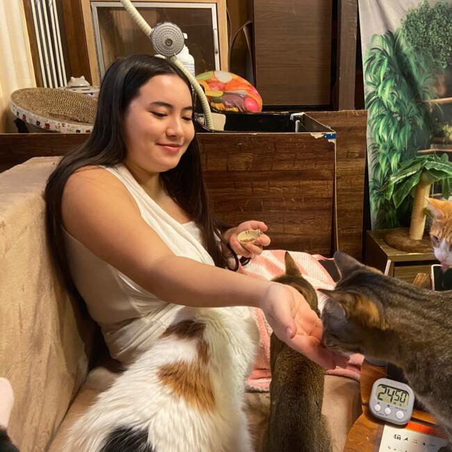 西宮市 のベビーシッター: Maéva