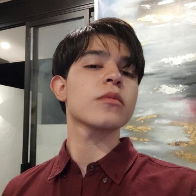 Babysitter in Guadalupe (Estado de Zacatecas): Cristopher
