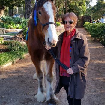 Babysitter Sydney: Kaye Gooch