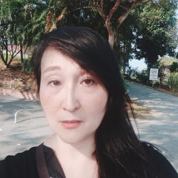 嘉義市的保母: 美麗