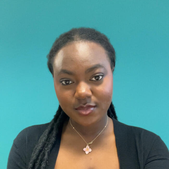 Babysitter in Lille: Affla Nancy Samira