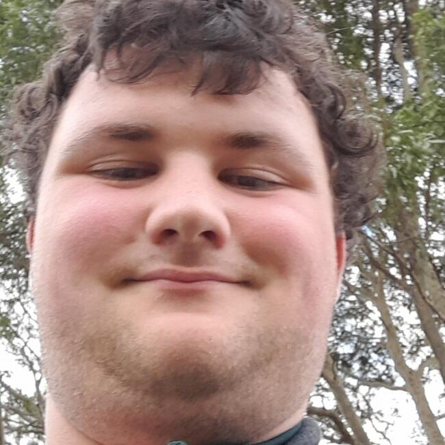 Babysitter in Leongatha: Damon