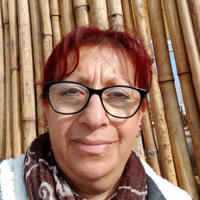 Babysitter in Ezpeleta: Liliana Alejandra