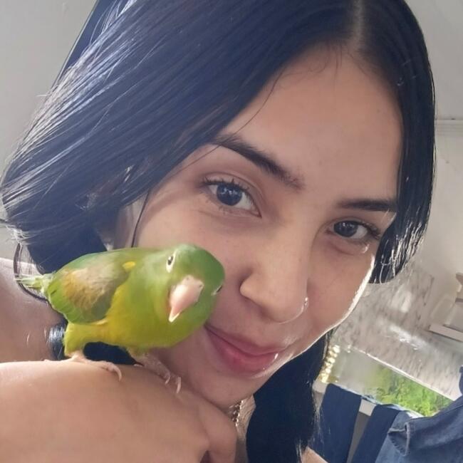 Babysitter in Bogotá: Yess