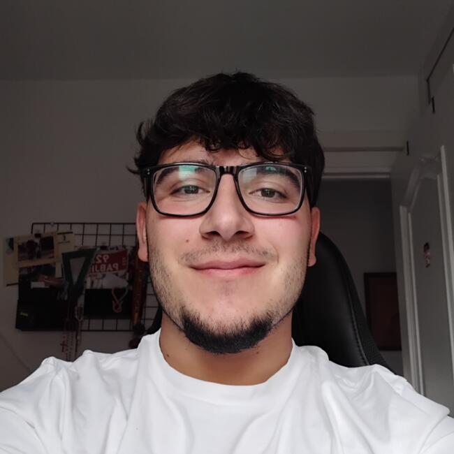 Babysitter in Toledo: Pablo