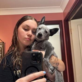 Babysitter Coffs Harbour: Annika