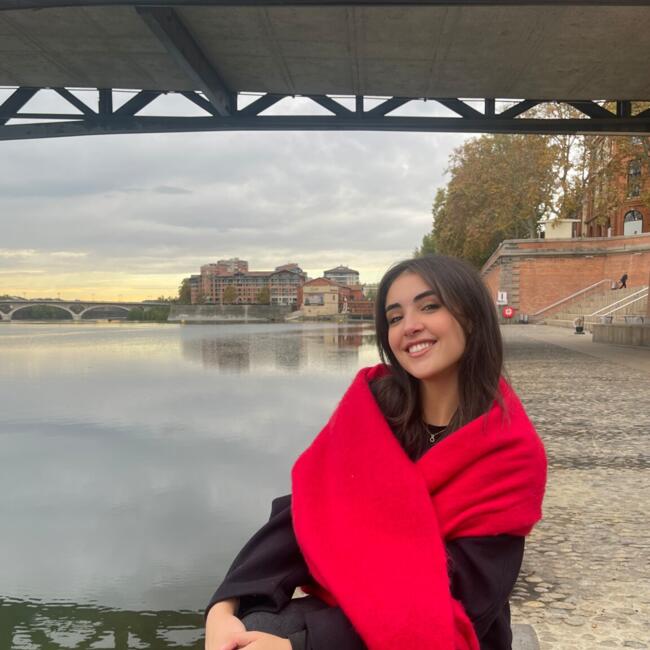 Babysitter in Toulouse: Elissa