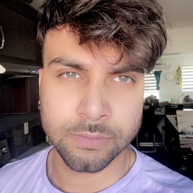 Babysitting job in Edmonton: Abhishek