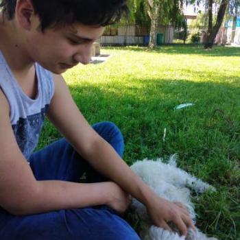 Niñera Chillán Viejo: Rodrigo