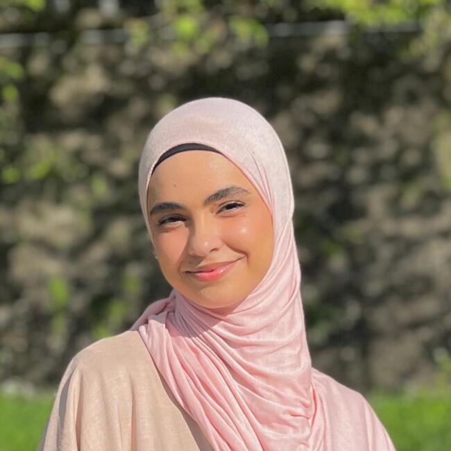 Babysitter in Besançon: Ouissem