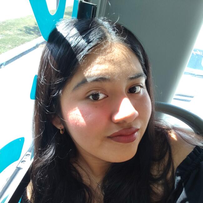 Niñera en Mérida: Arely Guadalupe Tamayo Maldona