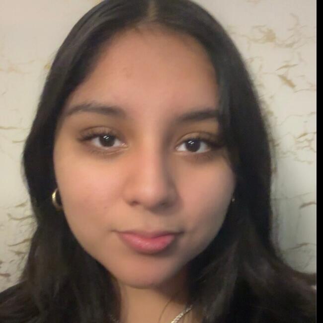 Babysitter in Waltham (Massachusetts): Elizabeth