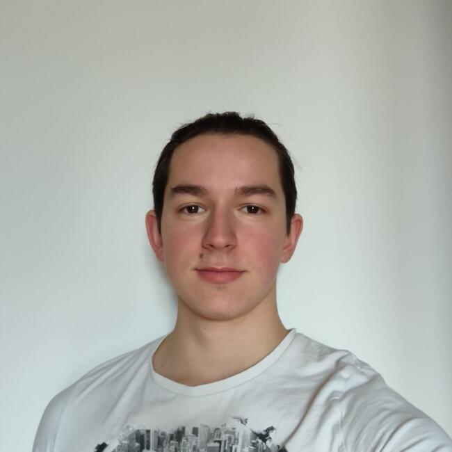 Babysitter in Paris: Damian