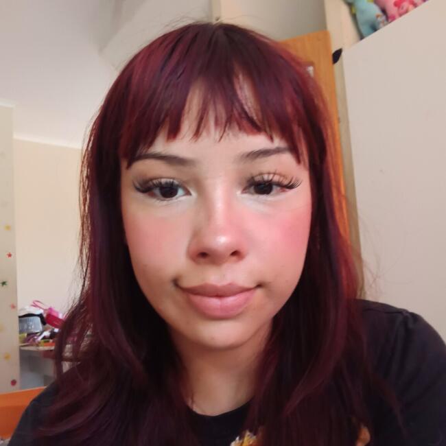 Babysitter in Talca: Anais