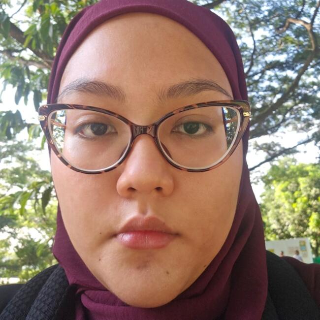 位于Singapore Island的临时保姆: Puteri Seri Melati