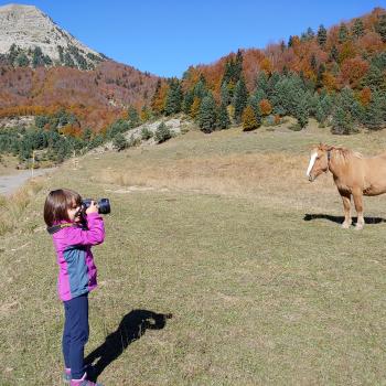 Babysitting job in Vitoria-Gasteiz: babysitting job Iñaki
